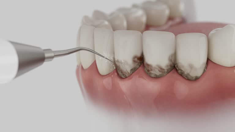 Reliable Dental contractor in North El Monte, CA by Dentist Open Now